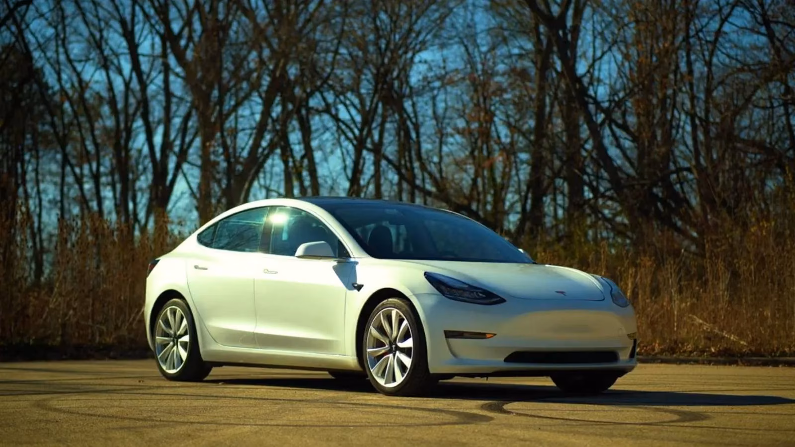2026-tesla-model-3-performance-an-owners-honest-take-image-0