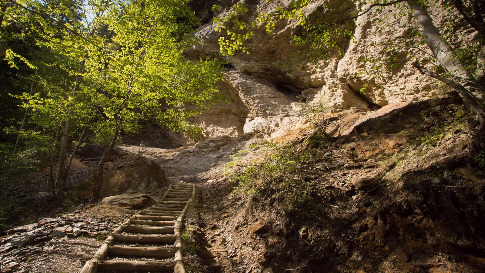great-smoky-mountains-national-park-ultimate-2026-adventure-guide-image-0